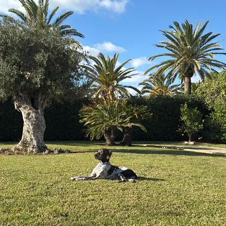 La Calma Espectacular Con Jardin Y Piscina En Menorca וילה ס'אלגר
