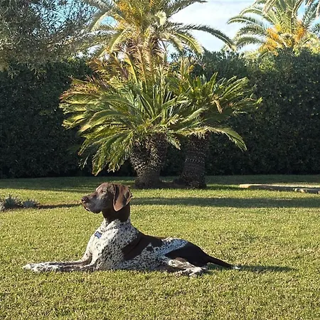 Villa La Calma Espectacular Con Jardin Y Piscina En Menorca *