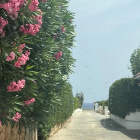 La Calma Espectacular Con Jardín Y Piscina En Menorca Villa *