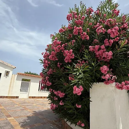 La Calma Espectacular Con Jardín Y Piscina En Menorca Villa S'Algar