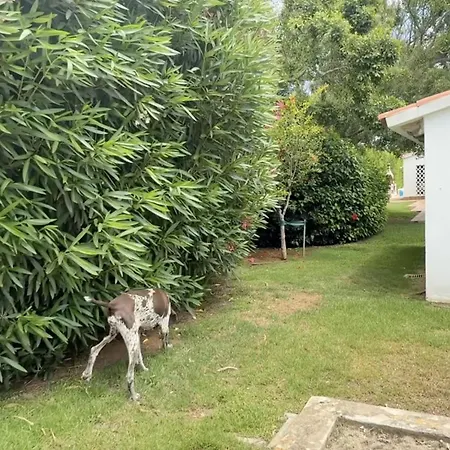 Villa La Calma Espectacular Con Jardín Y Piscina En Menorca