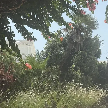 La Calma Espectacular Con Jardín Y Piscina En Menorca *