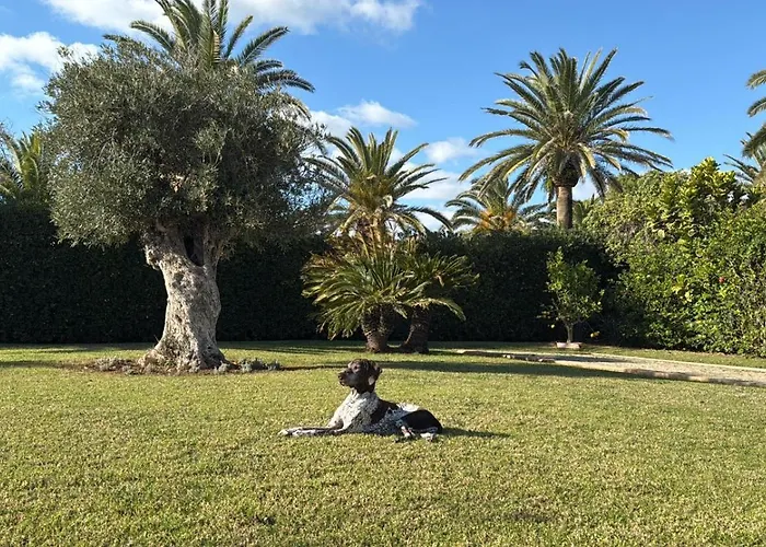 La Calma Espectacular Con Jardin Y Piscina En Menorca Villa S'Algar