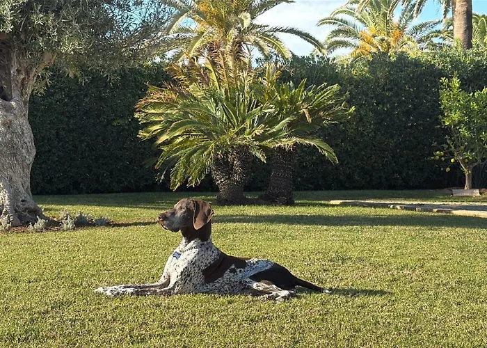 Villa La Calma Espectacular Con Jardin Y Piscina En Menorca *